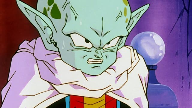 Piccolo - Freund oder Feind