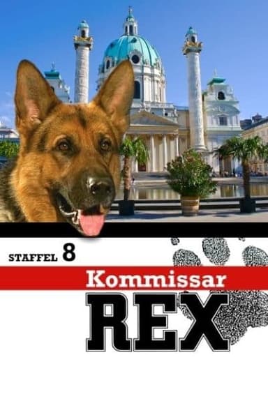 Staffel 8