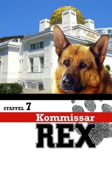 Staffel 7