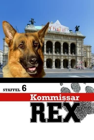 Staffel 6