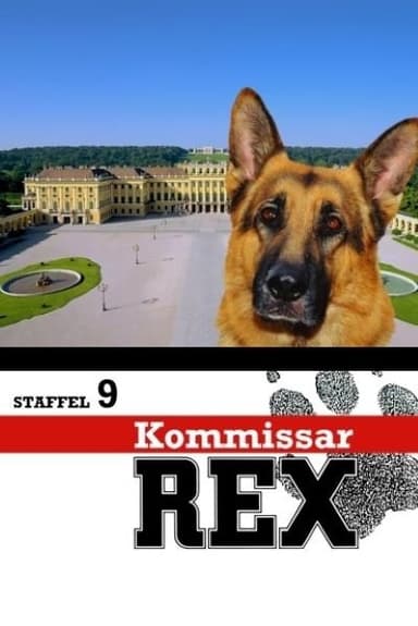 Staffel 9