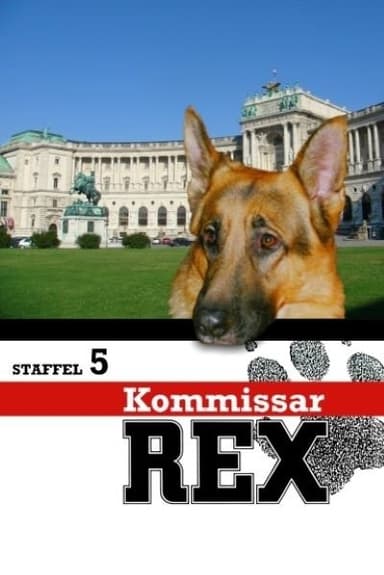 Staffel 5