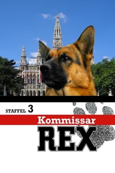Staffel 3